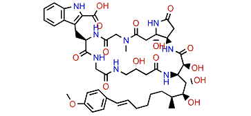 Microsclerodermin B